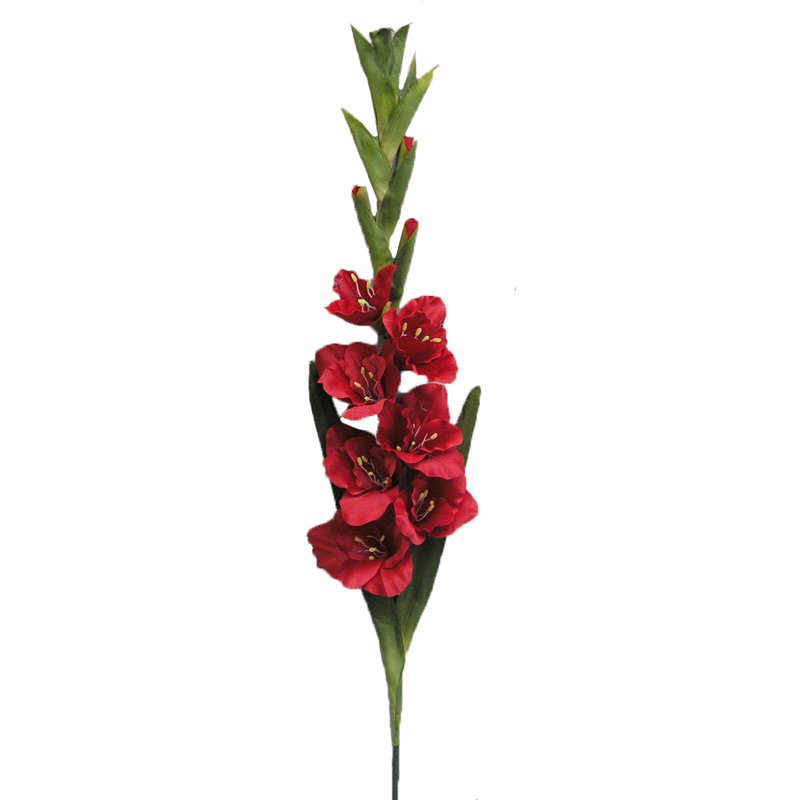 Glaïeul artificiel en aérosol, Rouge / Rouge