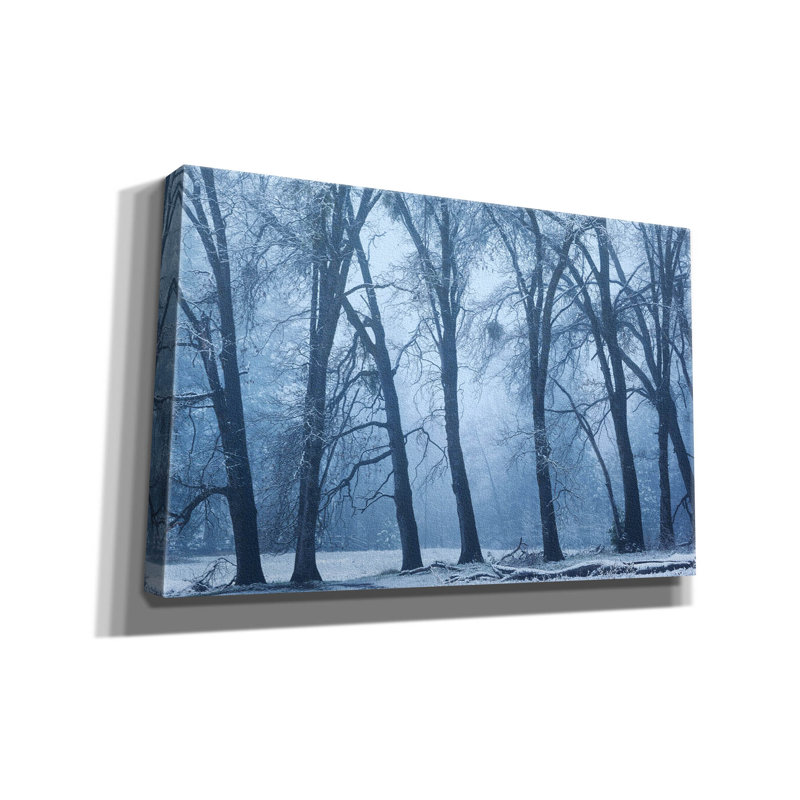 «Magical Morning» par Brandon Wong, art mural sur toile, H 26 po x l 40 po x P 1,5 po