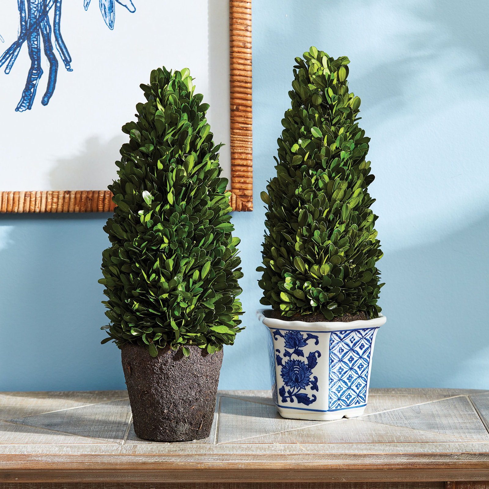 Alby Centerpiece in Pot, 16" H x 5" W x 5" D
