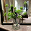 Organic Modern Snowball Viburnum Floral Arrangement