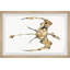 «Pterodactyl Fossil», reproduction encadrée-2121422925