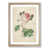 Oak Framed selected