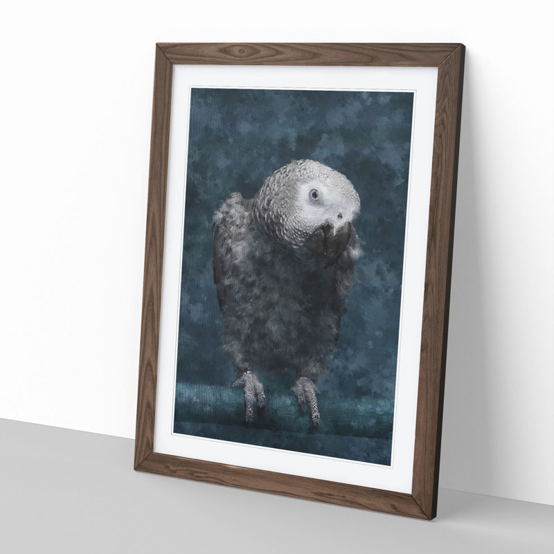 African Grey Parrot - Picture Frame Graphic Art, 65cm H x 48cm W x 2cm D, Walnut Framed