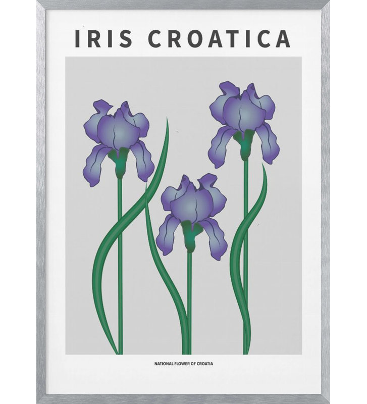 "Iris croate", art mural texturé encadré, Argent, H 40 po x l 30 po