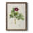 Walnut Framed