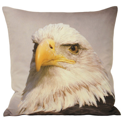 Animal Eagle Square Cushion