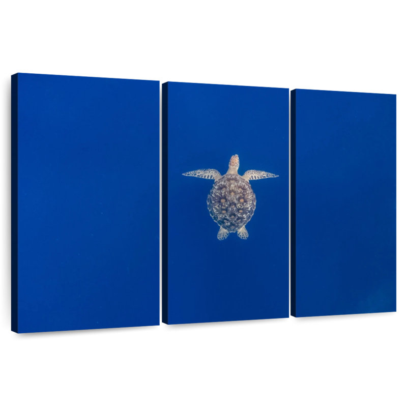Tortue de mer bleue Brampt, H 28 po x l 45 po