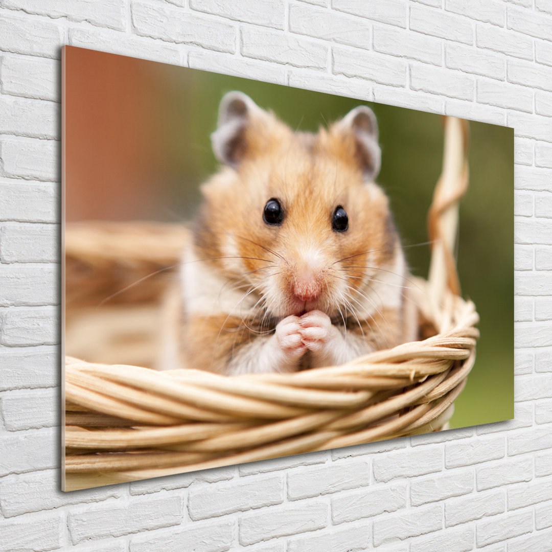 Glasbild Hamster im Korb