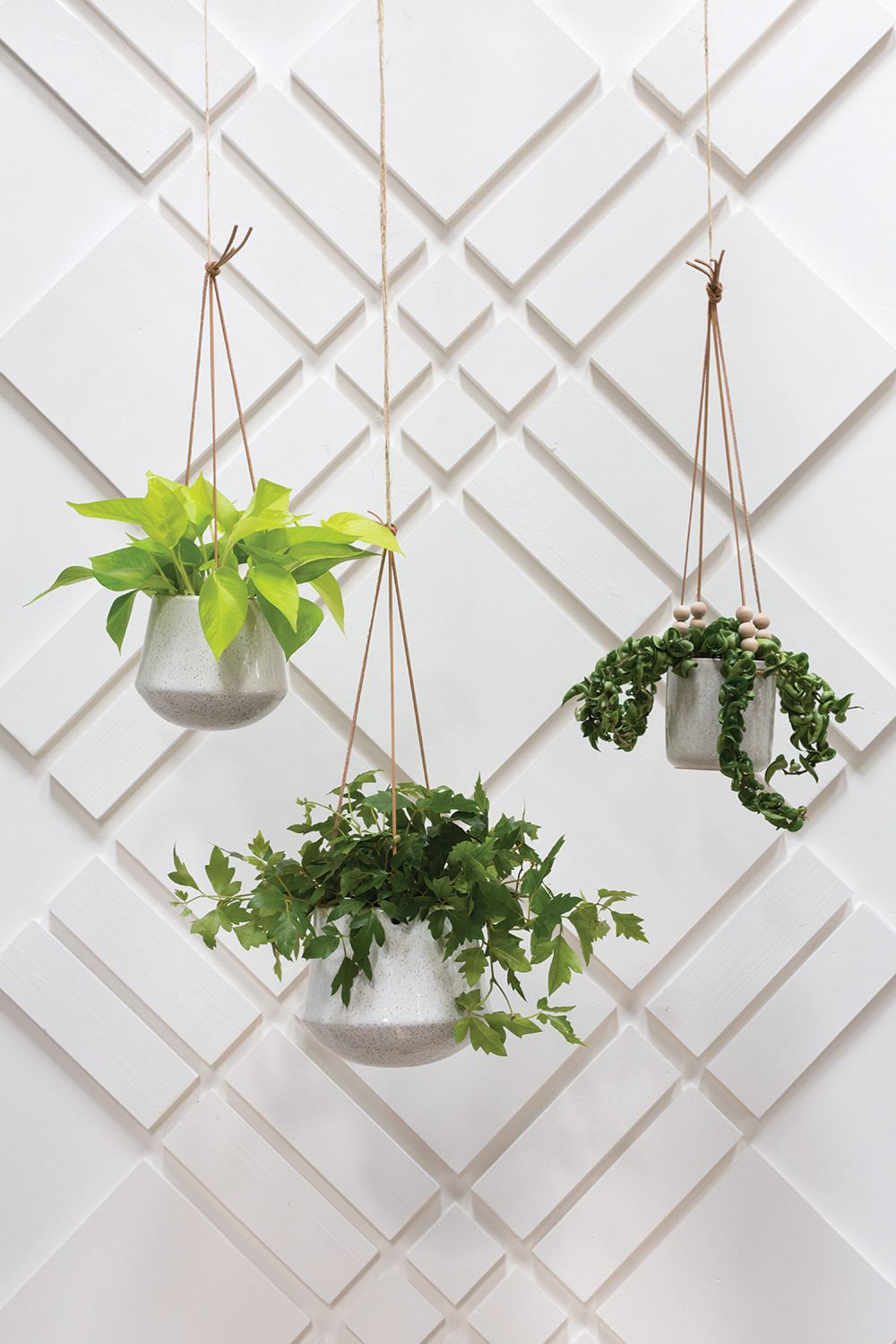 Carlena Ceramic Hanging Planter
