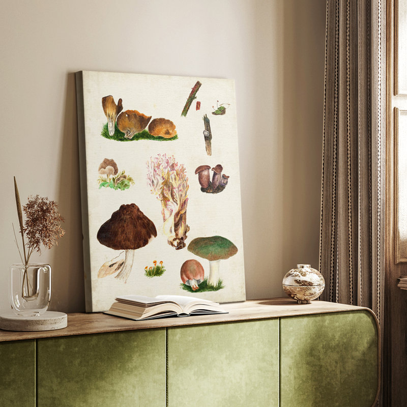 Mushroom Species IX - Gallery Cavas, H 18 po x l 12 po