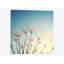 « make a voeu », reproduction de photo sur toile-29172534-72784658-72784651