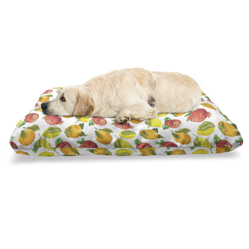 Multicolore, lit pour animal de compagnie Ambesonne Fruit