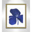 Clarisse Indigo Petal II - reproduction de cadre photo sur papier-56094622-56094621