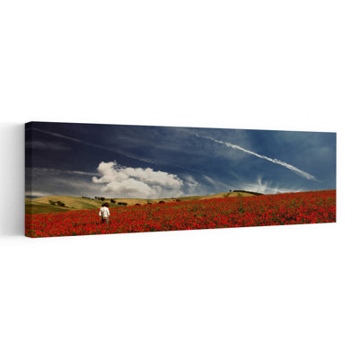 Promenade à travers des coquelicots, paysage paisible et serein