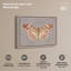 Décoration murale encadrée "Antique Flutter II" par Art Remedy, cadre en chêne naturel, 36 x 30-29987970-29987982