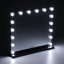 Lizbeth 16-Light Metal Rectangle Dressing Mirror