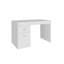 Hodgeman Computer Desk-2103840764