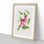 Illustration of Spotted Pink Flowers - Picture Frame Graphic Art Print-55579518-55579522