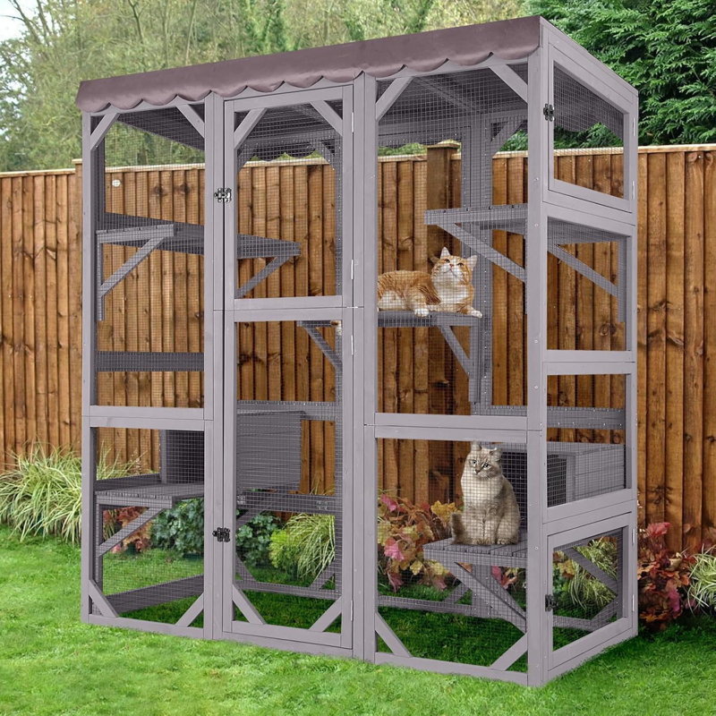 Enceinte d'extérieur avec grande porte d'entrée Catio
