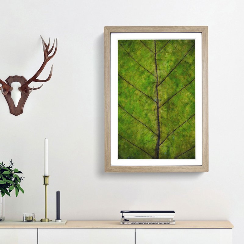 Leaf Lines - Framed Print, 87cm H x 62cm W x 2cm D, Oak Framed