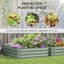 Lit de jardin surélevé polyvalent en métal pour plantes en plein essor-1187778325