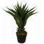 55cm Faux Yucca Tree in Pot Liner