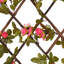 Cathriona Lattice Panel-244519398