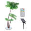 72 plantes