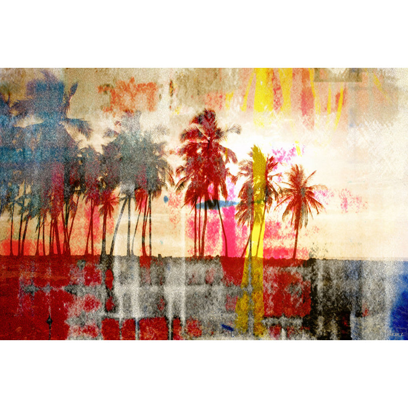 Parvez Taj - Wrapped Canvas Print, 41cm H x 61cm W x 5cm D