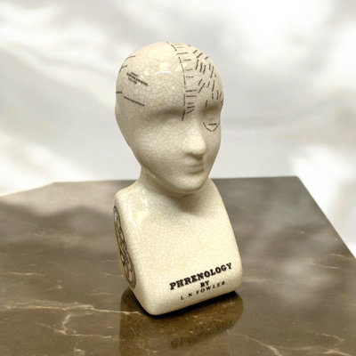 Jurnee Ceramic Phrenology Head Bust Victorian Study Ornament with Crackle Glaze Decorative Desk Sculpture