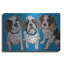 «King Charles Family» par Carolee Vitaletti-1764118580