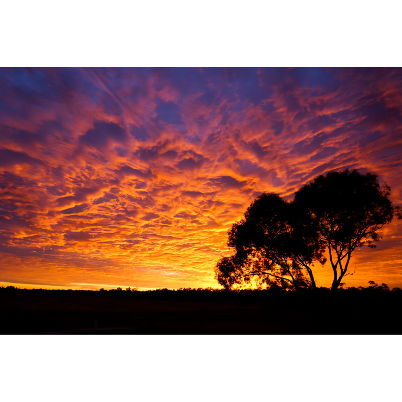 Spectacular Sunset by DanBriffa - Wrapped Canvas Print, 30.48cm H x 45.72cm W