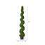 Arbre en spirale de buis vert Wolfdale-20583856