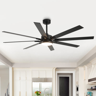 Boleslaus 65'' Ceiling Fan with LED Lights