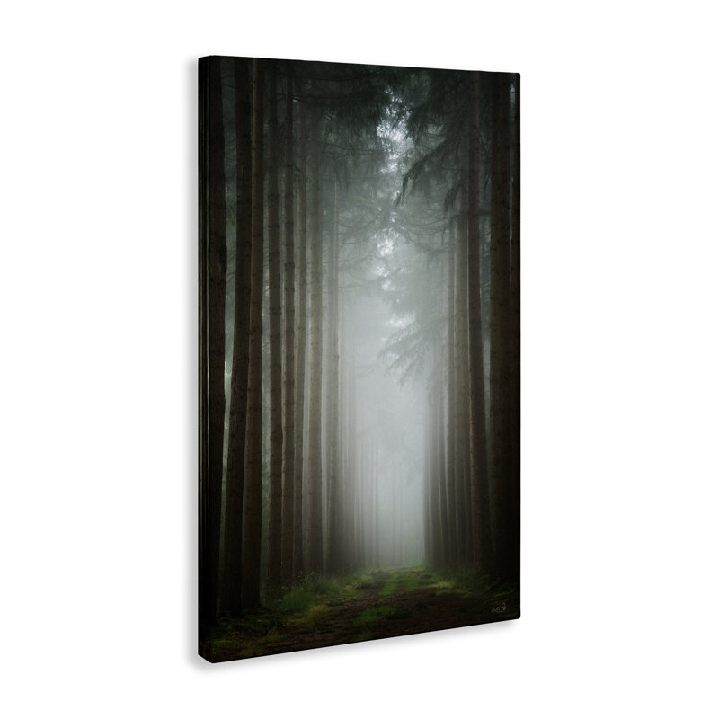 Toile au clair de lune à travers la forêt sombre, design par Martin Podt, H 36 po x l 24 po
