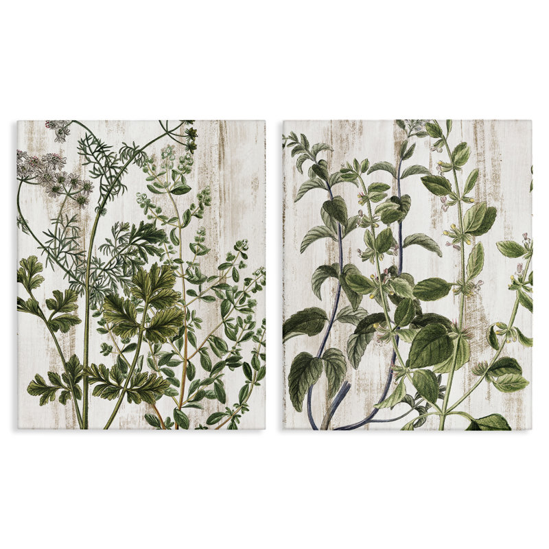 Aged Botanical Leaves  2 PC Canvas Wall Art Set by Kim Allen, 30" H x 24" W