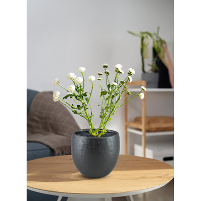  Pot à fleurs en aluminium noir Avira