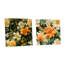Socorro - Ensemble d'art mural en verre acrylique Coastal Tropical-103926710