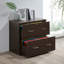 30'' Wide 2 -Drawer File Cabinet-1697488546