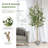 71.5'' Faux Olive Tree Tree