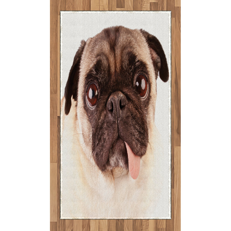 Pug High Density Long Fiber Poly Threads Decorative Area Rug Carpet, Rectangle 2'7" x 5'
