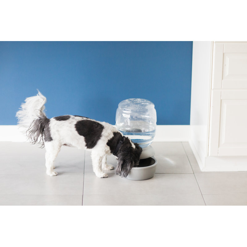 Small Pearl Silver Gray Automatic Pet Waterer