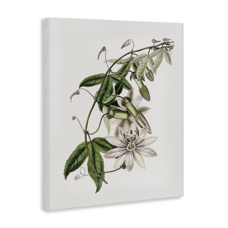 Toile de plante de lys rétro, design par CAD Designs, H 40 po x l 30 po