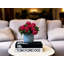 Begonias in Dotted Ceramic Pot-42062680