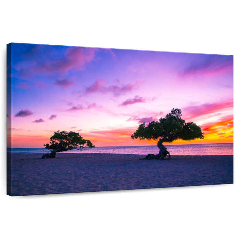 Aruba Divi Gillard, H 20 po x l 30 po