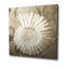 Superbe peinture sur toile décorative de 17,7 po x 17,7 po | 100% toile, cadre 100% bois (épaisseur: 1,2 po) | Parfait pour la décoration de la maison, le salon et les espaces de bureau, des œuvres d'art accrocheuses pour améliorer votre environnemen