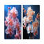Gorgeous Harmonous Orchids - Orchids Wall Art Prints, ensemble de 2-75547219-75547217