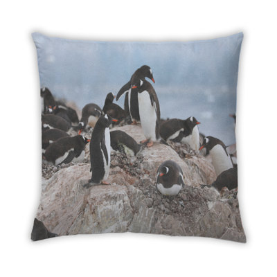 Coussin 10 animaux