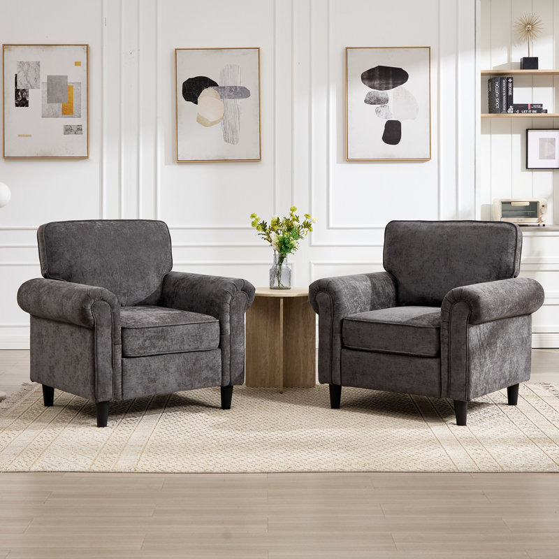 Upholstered Armchair Fabric Accent Chair Set Of 2, Gray
