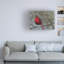 «Cardinal In Snow I» sur toile-1596020618